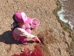 -兴城海滨风景区