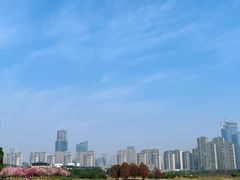 -苏州湾体育公园