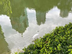 -陆家嘴中心绿地