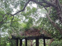 -江心屿景区