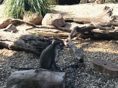 -威勒比开放式动物园