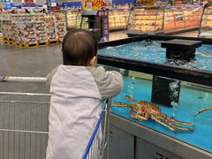 -麦德龙(郑东店)