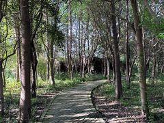 -溱湖国家湿地公园