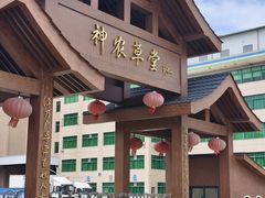 -广州神农草堂中医药博物馆