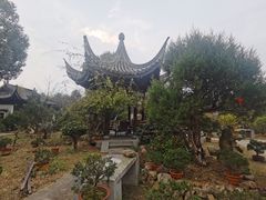 -万景茶庄·台州菜