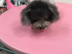 -宠颐生中康贝怡动物医院