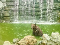 -北京野生动物园