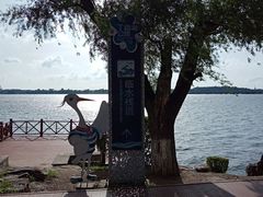 -丁香湖公园