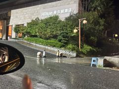 -三清山希尔顿度假酒店