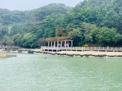 -广州市帽峰山景区