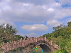 -桂湖森林公园