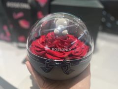 -ROSEONLY诺誓(广州K11店)
