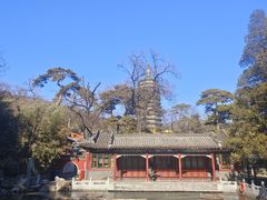 -北京西山国家森林公园