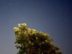 -春花秋色城市公园