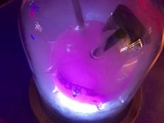 海膽-Darling Queen·Mini·Live·House