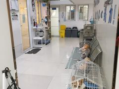 -pd派德宠物中心医院24H急重症·眼科中心·血液透析中心(嵩山北路店)