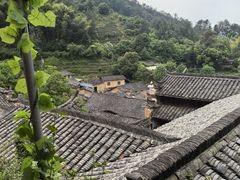 -杨家堂村