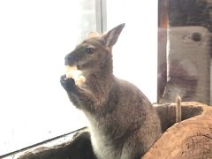 -昆明大悦城未来动物城(螺蛳湾中心店)