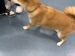 -宠颐生宠物医院外科·内科·皮肤科·影像科(石龙店)