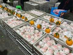 -菜园坝水果市场