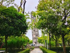 -上海佘山国家森林公园天马山园