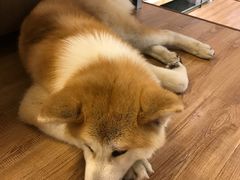 -YCHL Studios健身工作室(市二宫店)