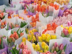 -循礼门鲜花花市(武汉循礼门店)