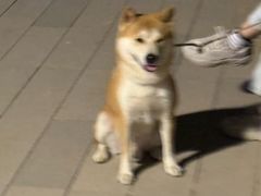 -攸州小镇家湘菜(小米科技园店)