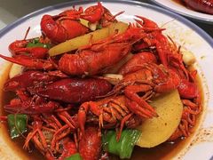 -杨氏青龙虾·羊蝎子(托乐嘉店)