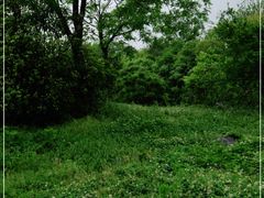 -扬州市茱萸湾风景区