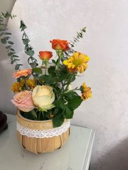 -保丽宝泰母婴护理院·月子中心·产康·中医(常州店)