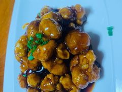 -全乐鱼馆·淳牌有机鱼直营店