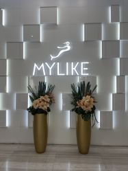 -深圳美莱医疗美容医院