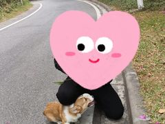 -火炉山森林公园
