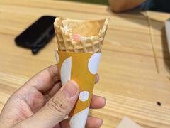 -田素(稻田创业小镇店)