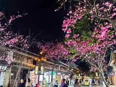 -大理文庙(大理古城)