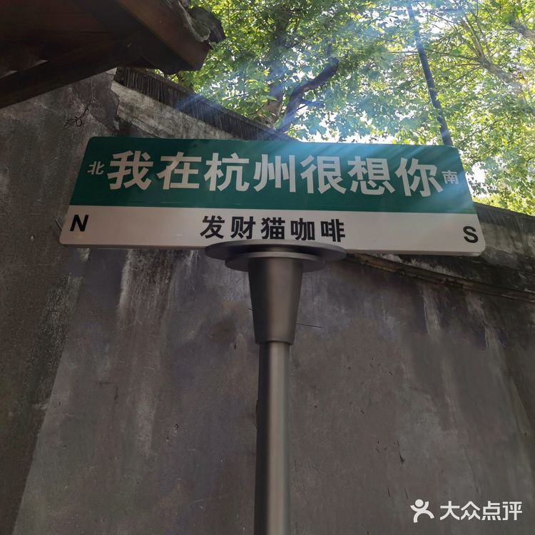 梧桐树下的咖啡店