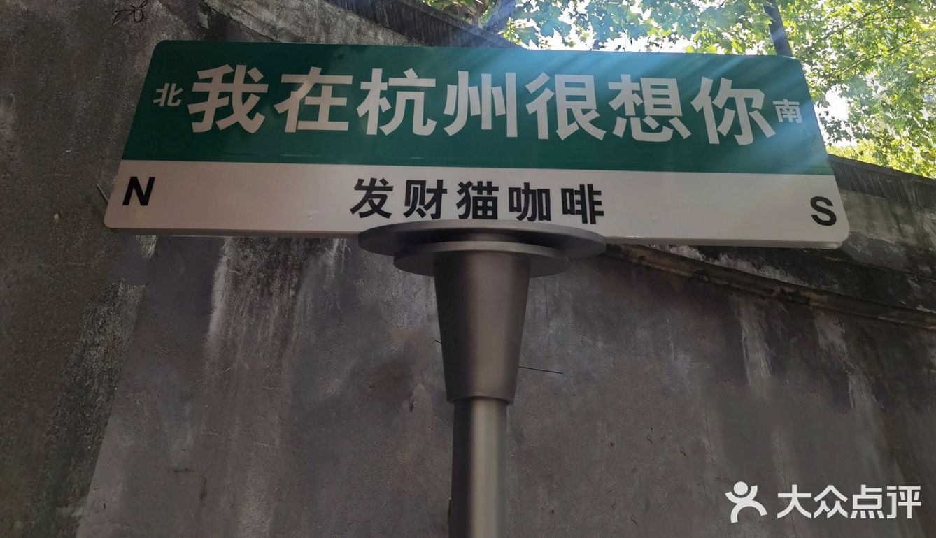 梧桐树下的咖啡店