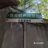 梧桐树下的咖啡店