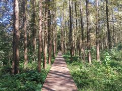 -同里国家湿地公园