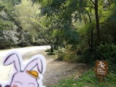 -云峰山自然风景区