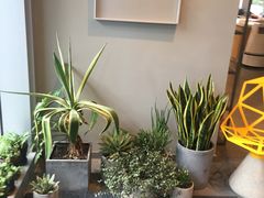 -dotcom coffee古点咖啡(致真大厦店)