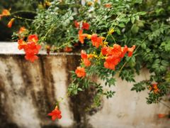 -杭州西湖风景名胜区-满觉陇四眼井