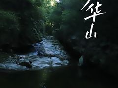 -少华山国家森林公园