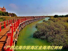 -北海金海湾红树林生态旅游区