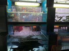 -全乐鱼馆·淳牌有机鱼直营店