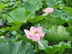 -成都太古里