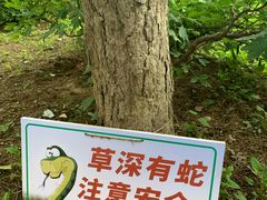 -国家植物园南园