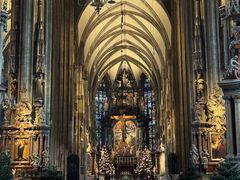 -斯蒂芬主教座堂(Stephansdom)