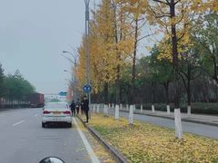 -胜华驾校·小猫学车(银都店)